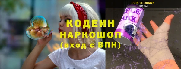 прущие грибы Гусев