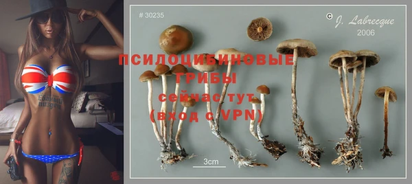 jwh Гусь-Хрустальный