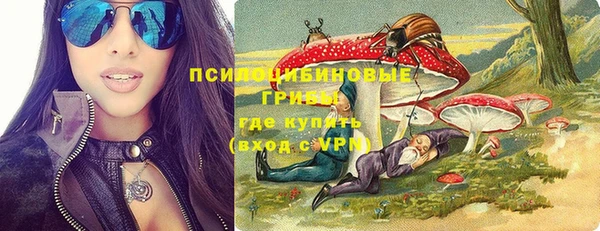 прущие грибы Гусев