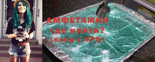 прущие грибы Гусев