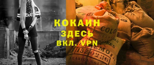 прущие грибы Гусев