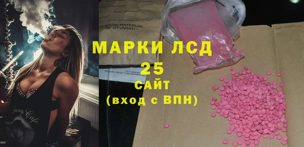 прущие грибы Гусев