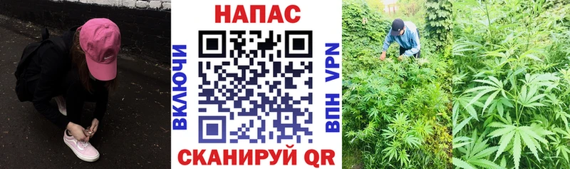 купить  сайты  Славянск-на-Кубани  Шишки марихуана VHQ 